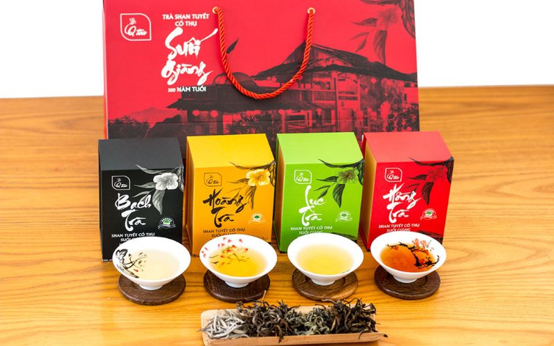 Ensemble de thés Shan Tuyet Cổ Thụ Suối Giàng présentés dans quatre boîtes colorées (noire, jaune, verte et rouge), accompagnées de tasses de dégustation remplies de thé aux nuances variées