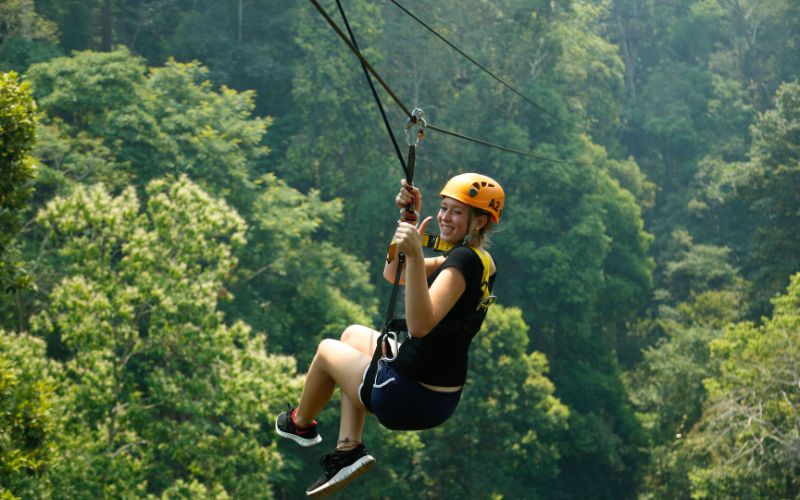 Tyrolienne à travers la jungle