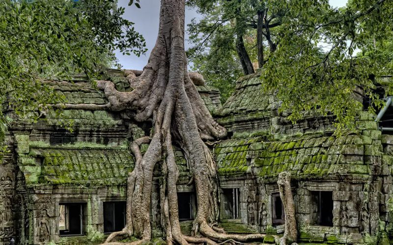 Temple de Ta Prohm