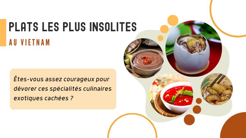 Top 10 des plats les plus insolites au Vietnam