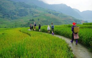 Trekking à Sapa