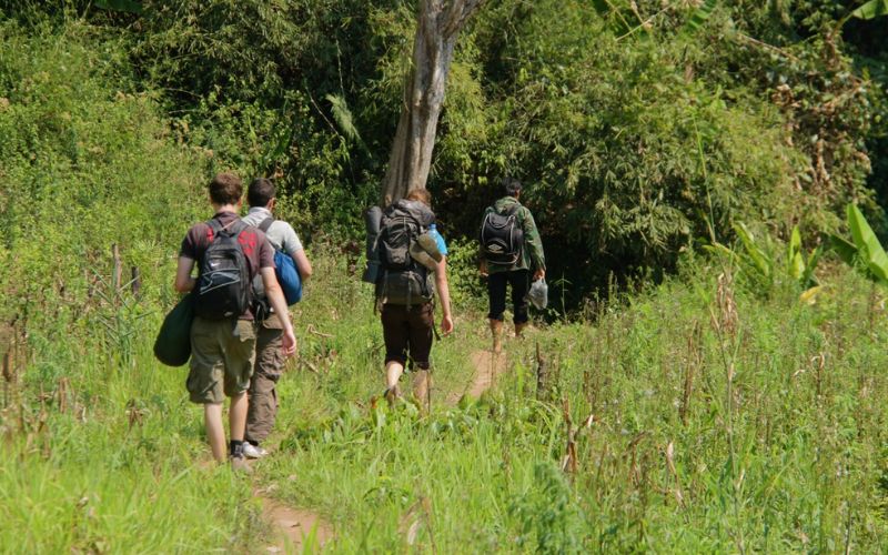 Trekking au parc national de Cuc Phuong