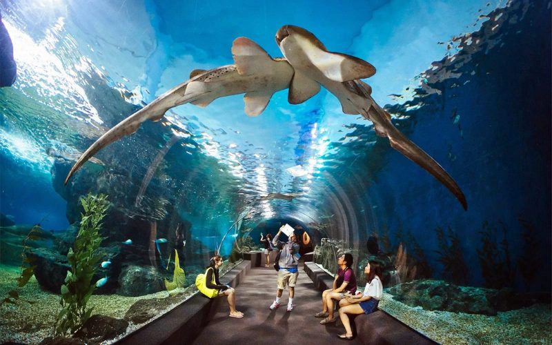 Underwater World de Pattaya