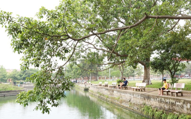Une scène paisible dans le village