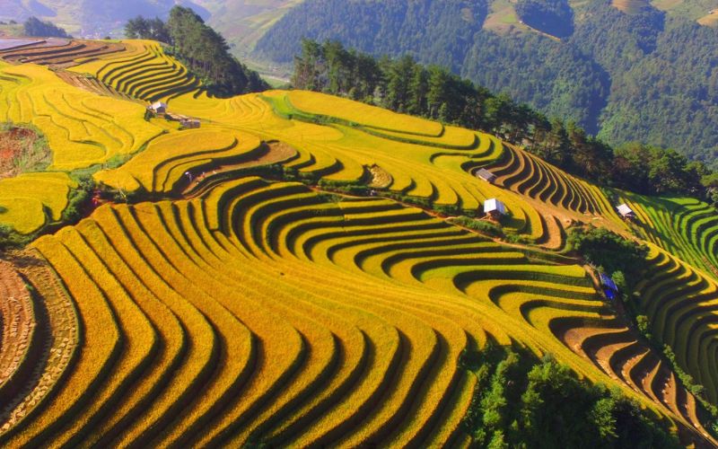 Voyage avec activités de bénévolat au Nord Vietnam en 19 jours