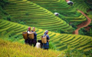 Voyage du Sud au Nord Vietnam en 21 Jours