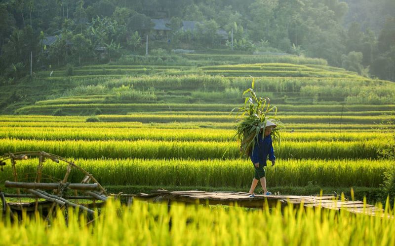 Village de Eo Ken