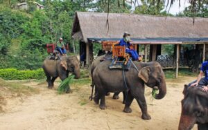 Voyage spirituel en 5 jours à Luang Prabang
