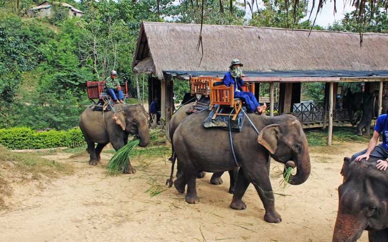 À la découverte de l’esprit de Luang Prabang en 5 jours