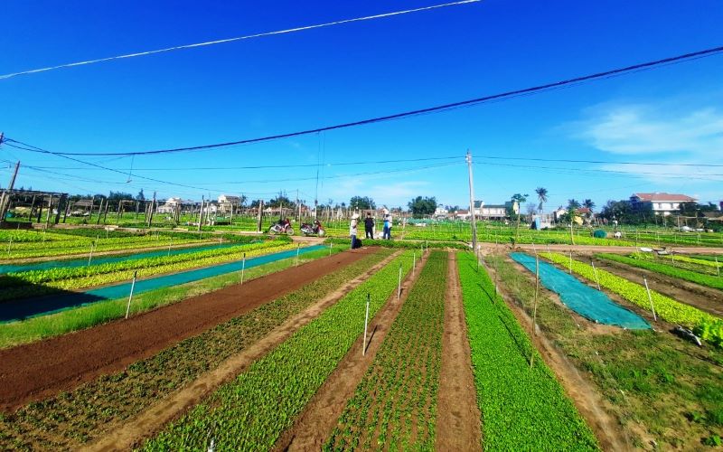 Village de Tra Que