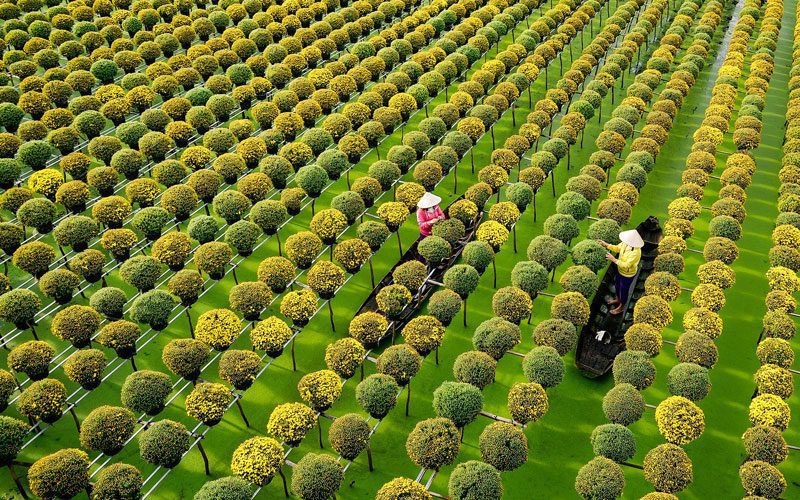 Village fleuri de Sa Dec - Sud Vietnam