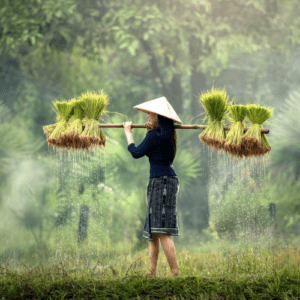 Vietnam, Cambodge & Laos Formidables en 20 Jours