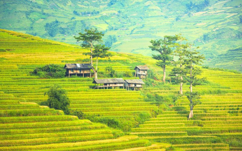 Visite de Sapa