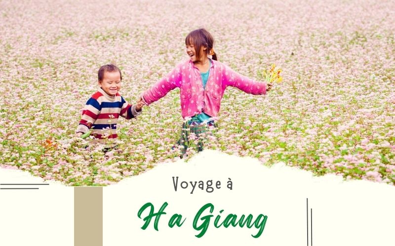 Voyage à Ha Giang en 2,3,4,5 jours : Que voir et faire ?