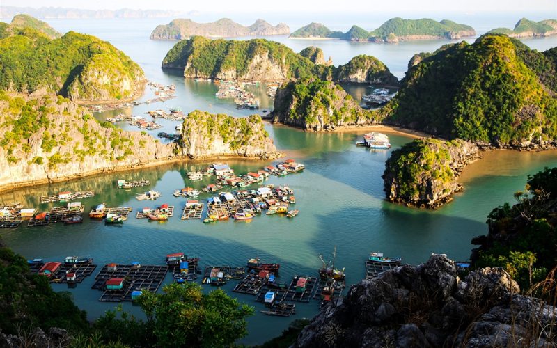 Vue panoramique du village flottant de Cai Beo à Cat Ba, entouré d’îlots calcaires verdoyants et de bateaux colorés sur une mer calme