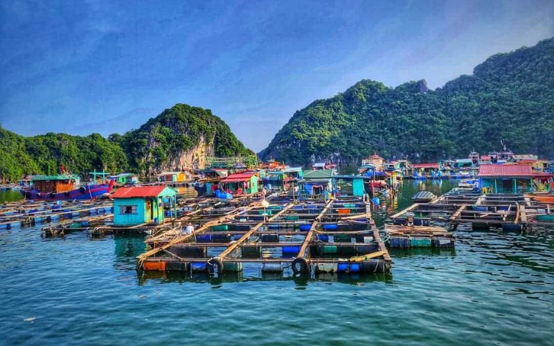 Village flottant de Cua Van