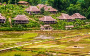 Village Pom Coong