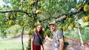 Visite du jardin verger de Ba Cong