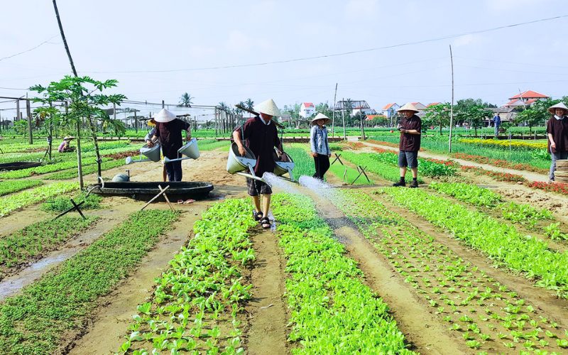 Village Tra Que a Hoi An