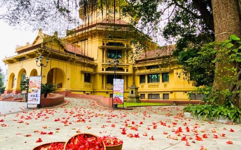 Visite du Musée National d'Histoire du Vietnam en saison de la fleur de Bombax