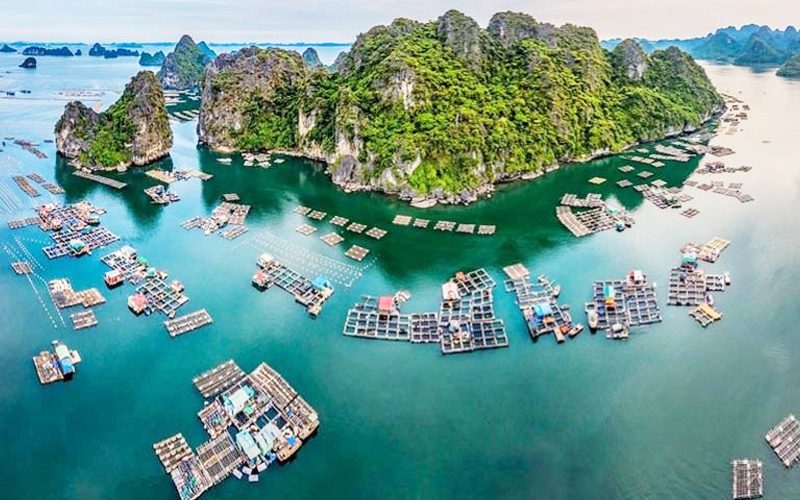Vung Vieng