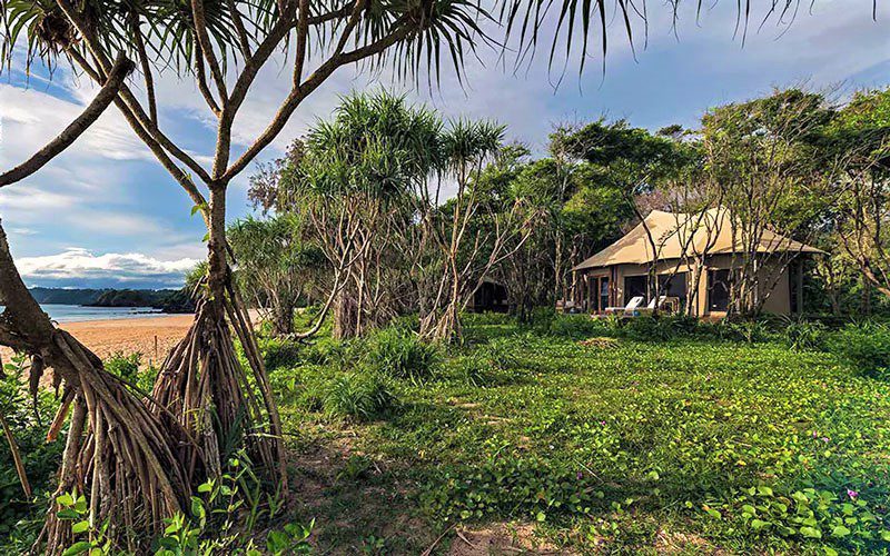 Wa Ale – Archipel de Mergui (Myeik), Birmanie