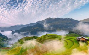 Rizières en terrasses - Yen Bai