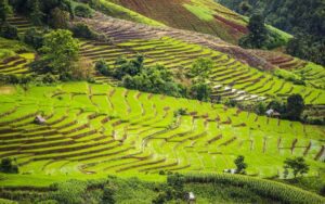 Zone rurale à Chiang Mai